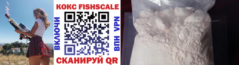 Cocaine FishScale  Купить закладки  Болохово 