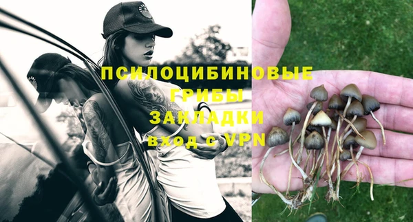 мдма Бородино