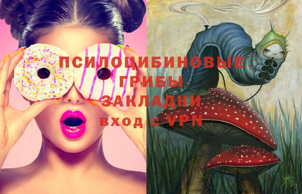 мдма Бородино